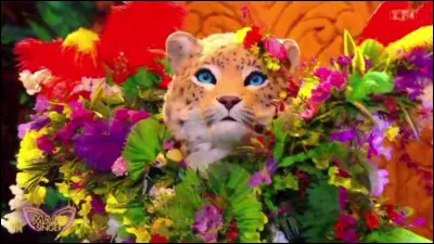 K - Quel humoriste fait partie du jury de Mask Singer depuis la première saison ?