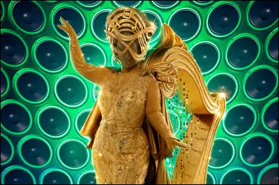 V - Laquelle de ces personnalités n'a jamais participé à Mask Singer en tant que candidat masqué ?