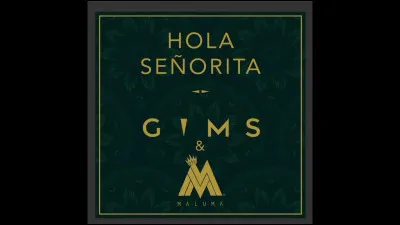 Complète les paroles de "Hola Señorita" (Ft. Maluma) : 
"Dis-moi c'que tu veux, dis-moi c'que t'attends de moi
Je t'ai vue apparaître et disparaître comme...".