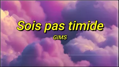 Continue la chanson "Sois pas timide'' de Gims : 
"J't'ai vu sur le périph', tu faisais la timide...".