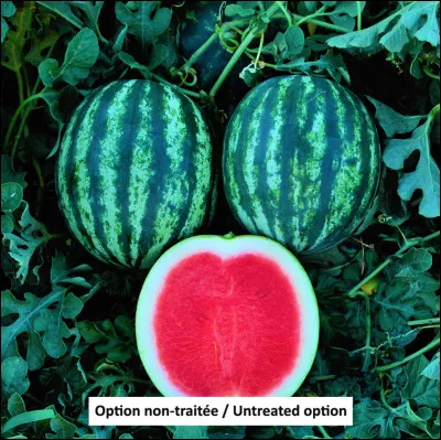 Quel est son ordre ?