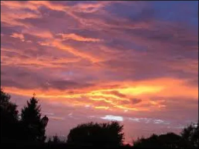 Le soir, que fais-tu ?