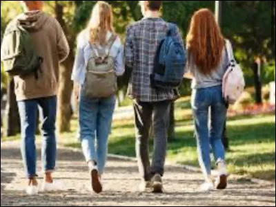 Comment vas-tu au collège ?