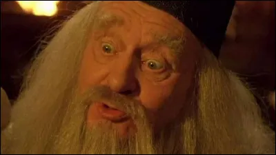 Comment s'appelle l'enchanteur dans "Les Visiteurs" ?