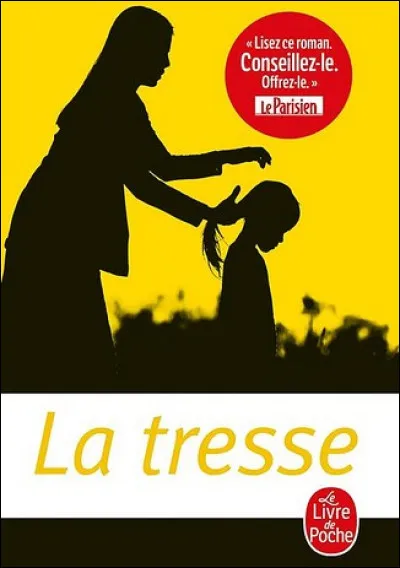 Qui a écrit ce premier roman en 2017 ?