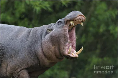 Il vaut mieux l'envisager que le courir !