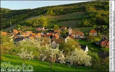 Reichsfeld est un village de l'arrondissement de Sélestat-Erstein. Il se situe dans le département ...
