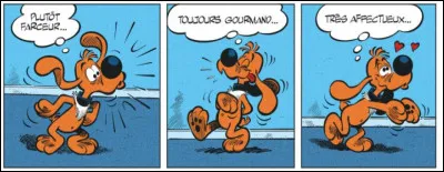 La casquette de l'ami de Boule et Bill est jaune.