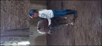 Lequel de ces disciplines est une discipline olympique  ?