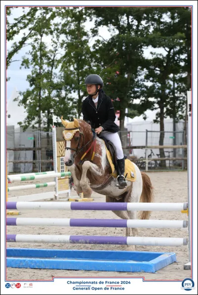 Au box, le cheval peut :