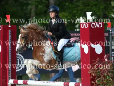 Quand un cheval a les oreilles plaquées en arrière, cela veut dire que...