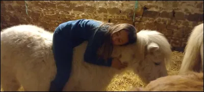 Quel cheval est au galop  ?