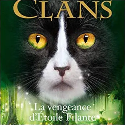 Quel était le nom de guerrier d'Étoile Filante ?