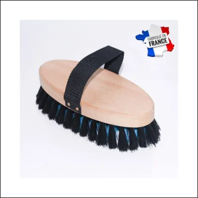 Comment se nomme cette brosse ?