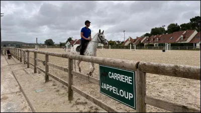 Admettons que tu sois dans la carrière et que ton cheval ne veuille pas avancer. Que fais-tu ?