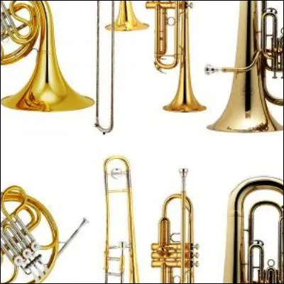 Lequel de ces instruments de musique de la famille des cuivres est g&eacute;n&eacute;ralement en bois ?