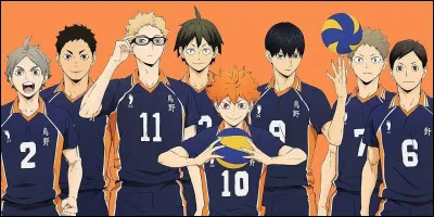 Quel est ton personnage favori dans ''Haikyuu'' ?