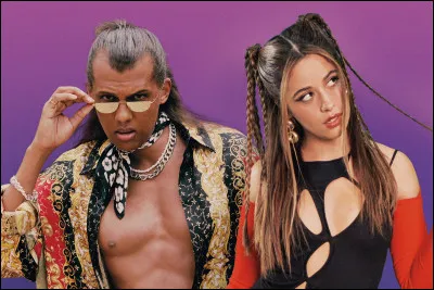 Laquelle de ces chansons est un duo de Stromae et Camila Cabello : "Depuis que t'es partie, la vie n'a plus la même saveur / Les draps n'ont plus la même odeur depuis qu'j'fais la lessive / Mais qu'est-ce qu'il a de plus que moi / Est-ce qu'il en a une plus grosse que moi" ?