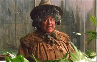 Que faut-il rajouter à "chou" pour obtenir le nom de la professeure de botanique dans "Harry Potter" ?