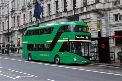 C'est facile : de quelle couleur sont la plupart des bus qui vous permettront de faire le tour de la ville ?