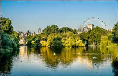 Ce parc londonien plutôt ancien et datant de 1532 est connu pour ses fontaines et zones ombragées agréables. Il est directement relié au palais royal de Buckingham, à The Mall et aux Horse Guards, le lieu de rassemblement des célèbres gardes en uniforme rouge. Quel est le nom du parc ?