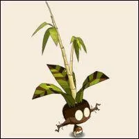 Comment s'appelle ce monstre ?