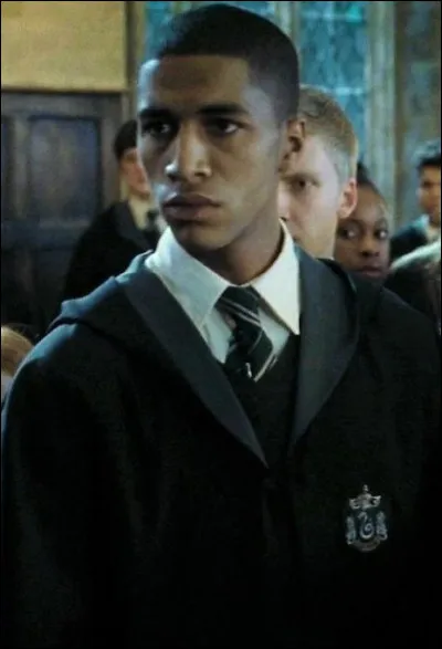 N°9 : Blaise Zabini 
Combien de fois sa mère s'est-elle mariée ?