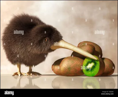 Les kiwis vivent en :