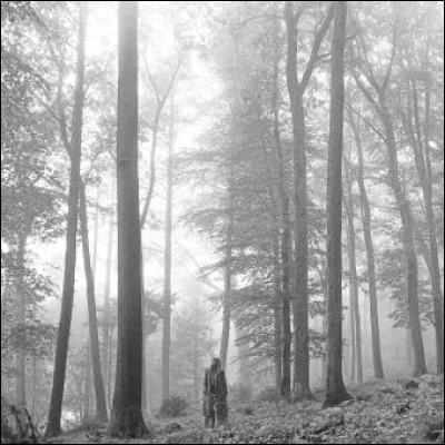 Quelle est la chanson la plus connue dans "Folklore" ?