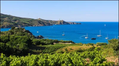 Quel nom est donné à la côte rocheuse des Albères dans le sud des Pyrénées-Orientales ?