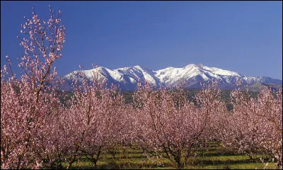 Quel est ce sommet, le plus oriental des Pyrénées, culminant à 2 785 mètres d'altitude et visible à des dizaines de kilomètres depuis la plaine du Roussillon ?