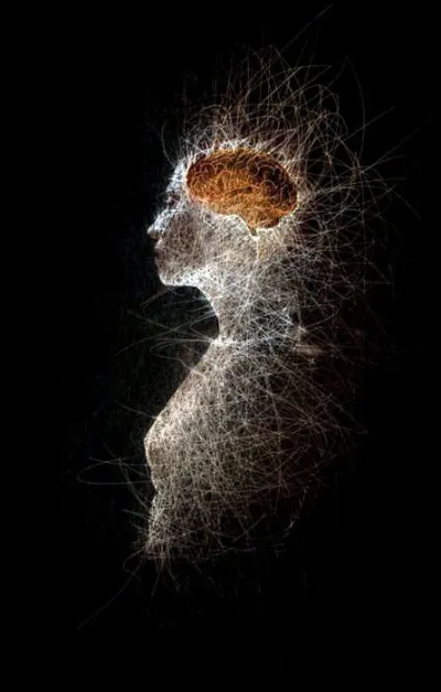 Le cerveau reçoit constamment des informations.