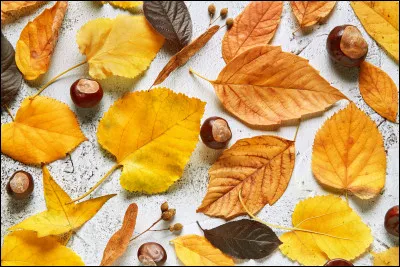 Elle est née en octobre.