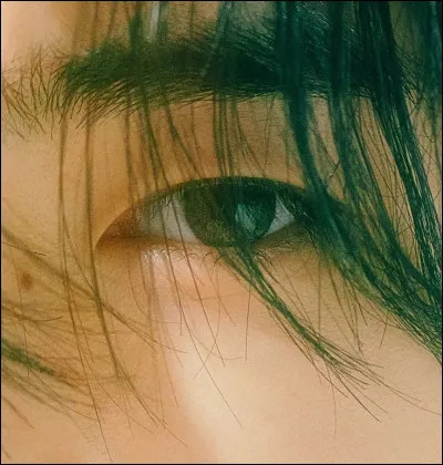 Voudrais-tu qu'il regarde la caméra ?