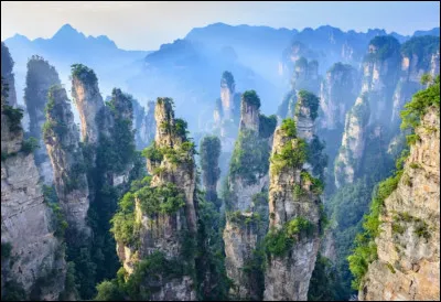 L'endroit le plus incroyable de ce quiz est "Zhangjiajie", zone montagneuse et forestière constituée de gigantesques piliers de roche, résultats de l'érosion, ressemblant à des rochers flottants. En bas se situe une forêt qui abrite des espèces importantes. Dans quel pays sommes-nous ?