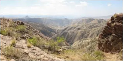 En quelle année le colonel Kadhafi a-t-il été tué ?