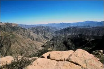 En quelle ann&eacute;e le g&eacute;nocide des Hutu a-t-il &eacute;t&eacute; commis ?