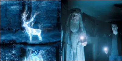 Son Patronus était un phénix.