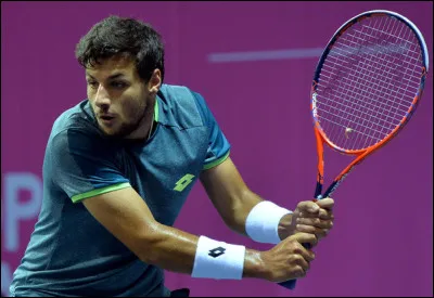 Qui est cette célébrité dont les initiales sont B.Z., joueur de tennis espagnol ?