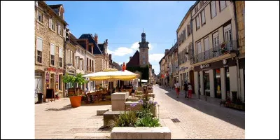 Quelle est cette petite ville viticole, située au pied du relief de côte qui limite la plaine de la Saône ?