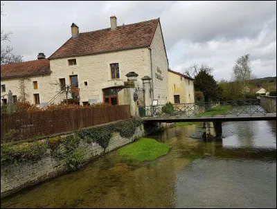 Quelle est cette rivière, longue de 82 km, qui prend sa source sur le plateau de Langres, coule vers le sud et se jette dans la Saône ?