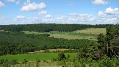 Quel est ce relief, haut plateau culminant à 604 m d'altitude, qui occupe la partie centrale du département, entre l'Auxois et la vallée de la Saône ?