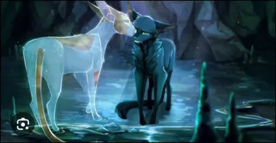 Serais-tu un mâle ou une femelle ? (Aucun rapport mais j'adore trop cette image !)