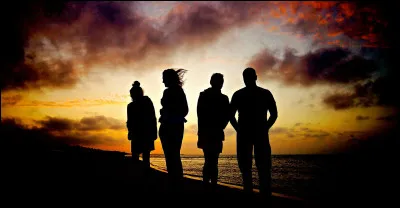 Si tu as un ami, tu préfères que ce soit :