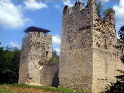 Je vous emmène à la découverte du château du Thoi, à Neuville-sur-Ain. Commune de l'arrondissement de Nantua, elle se situe dans le département ...