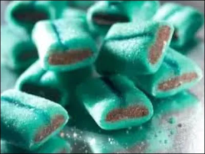 De quoi le coussin de Lyon est-il composé ?