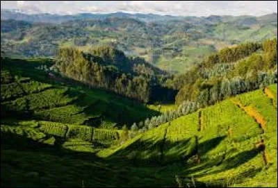 Quel pays a pour surnom "le pays aux mille collines" ?