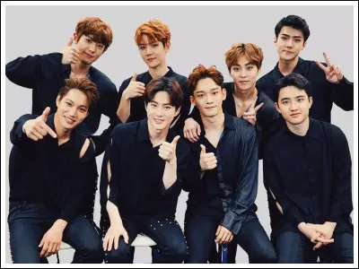 Si tu étais k-pop idole, tu serais : (2)