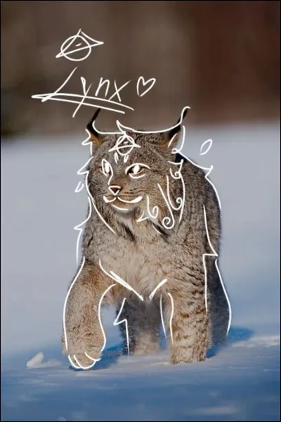 Tarrive-t-il déprouver des "shifts", des moments où tu te sens partiellement devenir cet animal, mentalement ou physiquement ?