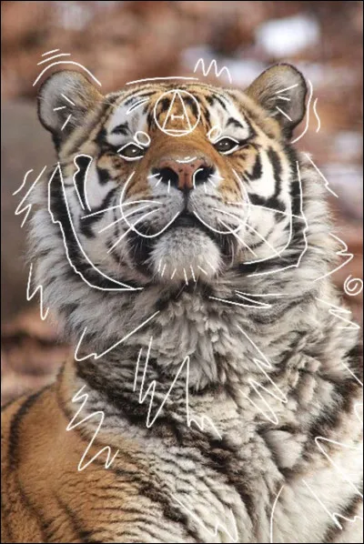 As-tu des instincts particuliers qui semblent correspondre aux comportements de cet animal (par exemple, sentir un besoin de solitude comme un loup, ou de voler comme un oiseau) ?